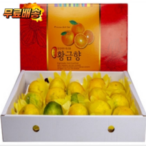 프리미엄과 로얄과 황금향 고당도 제주도 3kg 5kg 귤 선물용 고급 과일 제주황금향, 프리미엄과5kg