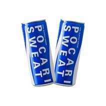 동아오츠카 포카리스웨트 240mlx30캔 이온음료, 240ml, 30캔