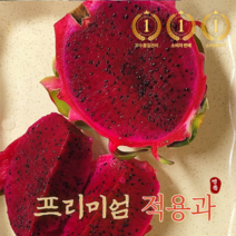 프리미엄 용과 베트남 레드 용과 적용과 2.5kg 5kg드래곤 후르츠 열대과일 슈퍼푸드 드래곤플룻 비타민 (안전포장), 2.5kg(내외), 1개