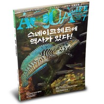 아쿠아라이프 2023년 7월호 _ 스네이크헤드에 역사가 있다!