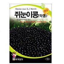 쥐눈이콩 씨앗 채소 콩종자(30g) MK190