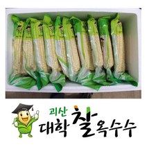 괴산 대학찰옥수수 삶은 냉동 찰옥수수 특품 15개 21개 30개 찐옥수수, 냉동 대학찰옥수수