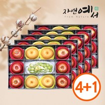 [초록자연] 명품 혼합 2호 과일선물세트 5개입, 없음