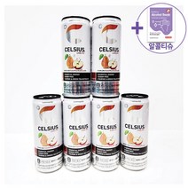 코스트코 셀시어스 오리지널 스파클링 후지애플 페어맛 325ML X 6캔 + 더메이런알콜티슈