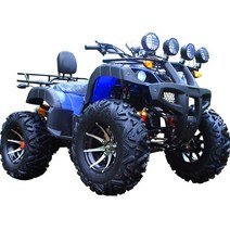4륜구동 ATV 오토바이 농업용사륜바이크 오프로드, 후진 기어로 125CC 전기 시동