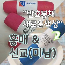 신교봉채 홍매봉채 나비코끼리봉채 한국화물감 동양화 민화물감 한국물감, 신교(미남)