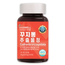 하비웰 꾸지뽕 추출물정 600mg X 60정, 1통