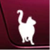 자동차 포인트 스티커 차량용 데칼 앞타이어옆 차꾸미기 운전석문 긁힌흠집가리기 적당한사이즈 찌그러진곳 티볼리 올뉴K7 미니컨트리맨 컬러감좋은, 레드, B타입