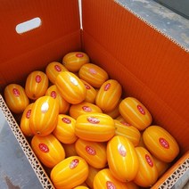 *[공주네농장]농민직송 고당도 성주 꿀벌 참외 등급(상) 등급(상)꿀*, 1box, 참외 가정용 5kg 대과
