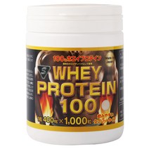 WHEYPROTEIN100 [ 유장 단백질 정제 ] 근육 보충제 태블릿 단백질 whey protein 운반