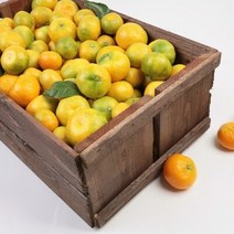 제주 극조생귤 감귤 청정제주 3kg, 꼬마감귤 5kg