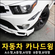 카나드윙 자동차튜닝에어윙 덕트 카나드 범퍼, B타입(대형좌우세트)
