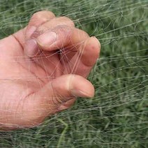 얇은 가는 실같은 새망 방조망 보호망 그물 조류퇴치, S28 길이 20미터 너비 5미터 2.5