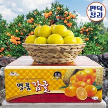 제주 만덕청과 귤 농장 산지직송 노지 감귤 실중량 2kg 3kg 5kg 10kg 15kg, 24.노지감귤 중과 (M~L) 10kg, 1개