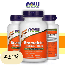 파인효소 파인애플 브로멜라인 500mg 120개입 [미국 직배송], 1개, 120개