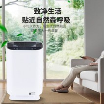 공기살균기 제습기공기청정기 미니 원룸 항알러지 cand 공기 청정기 가정용 소규모 대규모 사무실 포름알데히드 제거 실내 음이온, [02] 업그레이드된 모델
