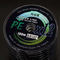 피싱템 낚시줄 오색합사 낚시줄 다이니마 라인, 100m 1.2호