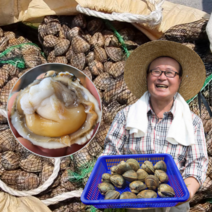 먹사부 노란 갈색 새조개 살 손질 생물 원물 샤브샤브 용 황금 500g 1kg 2키로 철, 선택2. 손질 새조개 (500g), 5개