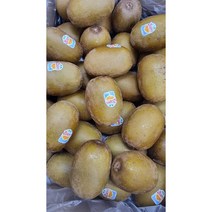 제스프리 골드키위 가정용 임산부 과일 과일주스 항공직송 신선 고당도 과일 가락시장 당일배송, (특1등급)골드키위 5.7kg 내외