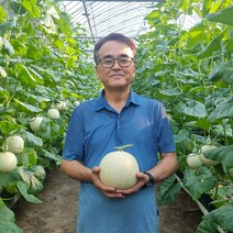 강원 춘천 차원이 다른 고당도 프리미엄 회장님멜론 하니원멜론 선물용 메론 특품 4kg, 1박스, 4kg (3수 내외)