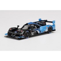 TrueScale Miniatures 트루스케일 미니어처 TSM4306121/43 아큐라 ARX-05 DPi IMSA 데이토나 24시간 2022 #10 코니카 미놀타 아큐라 ARX-05 폴시터 [다이캐스트 미니카], 단일