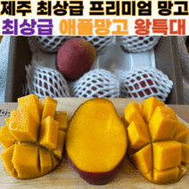 제주 최고급 애플망고 3kg 고당도 대 특대 왕특대, 제주산 애플망고 3kg 특대 (7~8과)