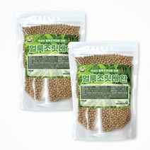 백장생 제주 조릿대 얼룩조릿대환, 300g, 2개, 2개