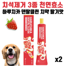 펫생각 하루치카 덴탈클린 강아지 충치 양치 간식 잇몸 치석 입냄새 제거 추천 딸기향, 2개