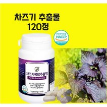 식약청인증 차즈기 추출물 농축액 눈엔 차즈기 루테올린 영양제 빌베리 눈 근육 수정체 모양체 자소엽 차즈기 분말 가루 영양제 알약 캡슐 건강기능식품 추천 효능, 120정, 1박스
