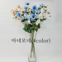 아네모네(4color), Cream／Peach