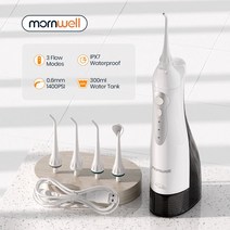 구강세정기 휴대용 치실 물치실 치아세정기 치간, 블루 가방포함