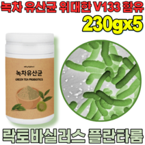 꼼꼼한 검수 통과한 자연이 주는 선물 락토 바실러스 플란 타룸 녹차 유산균 프락토 올리고당 위대한 V 133 녹자 우산균 위산균 유신균 프로바이오틱 가루 파우더 분말 파는곳 추천, 5