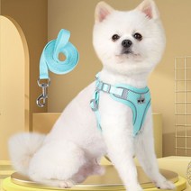 더그더그 초경량 쿨매쉬 하네스, 민트