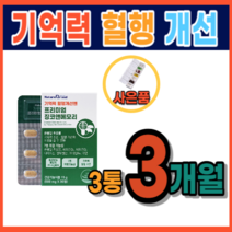 징코 뇌건강 기억력 인지력 은행잎 추출물 집중력 장애 저하 감퇴 기능 향상 개선 에좋은 식품 식약처 정맥순환개선 하지정맥 다리 혈액순환 피 맑게 하는 영양제 음식 약 1개월분, 3통, 30정