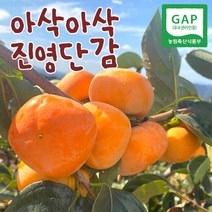 [진영단감] 아삭단감 2.5KG 5.0kg 내외 태추 부유단감, 아삭달달 진영단감 2.5KG 대과