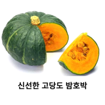 신선한 고당도 미니 밤호박 1.5kg 2.5kg 5kg 10kg 단호박 밤호박 꼬마 단호박 고소하고 달달한 미니 밤호박, 1.5kg(2~3개)