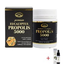 호주 네이쳐스탑 유칼립투스 프로폴리스 5000mg 120정 /프로폴리스 스프레이 35ml 사은품, 1개, 5000mg  120정