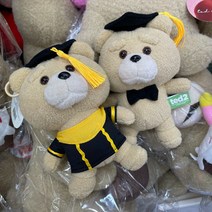 [졸업선물] 학사모 쓴 19곰 테드 정품 인형고리(2color), 옷입은 테드