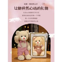 선물세트 곰돌이 피규어 여자 선물 토이 사무실허리쿠션 까사미아쿠션 방석 사무실의자쿠션 의자허리쿠션 패브릭소품, 옵션02, 전장 35cm [스텐트 선물세트]