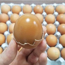 [안전발송] 쫄깃촉촉 HACCP 구운계란 30구 60구, 3.구운계란 초란 30구 x 1판, 1box