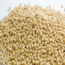 부안로컬] 22년산 햇곡 계화 간척지 국산 백태(메주콩) 1kg