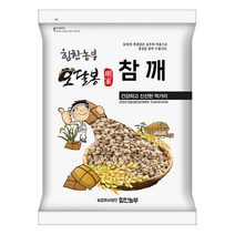 특품 2022년 햇 참깨 생참깨 통참깨 수입산 (중국산), 1개, 1kg