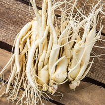 금산 인삼 350g 세척 수삼 인삼꽃주 삼계삼 난발삼 아카시아꿀 동강이 꿀절임 파삼 막삼 가정용삼 인삼차, 03_1I9R_세척난발삼(소)375g