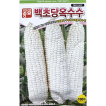 백초당옥수수씨앗100립 아시아종묘 단맛이 좋고 이삭이 크고 착립률이 우수한 교배종 옥수수