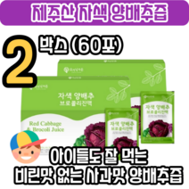 비린맛 없앤 제주 양배추 브로콜리즙 사과맛 아이들도 잘 먹어요 브로콜리 자색 양배추즙 효능 피파 순수 제주산 제주도 속쓰림 위궤양 식도염 잠백이, 2박스(2개월)