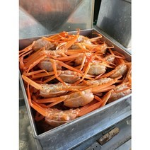 탐라인 선주직송 당일조업 구룡포 자숙홍게 박달급 3kg(10미내외), 1박스, 3kg