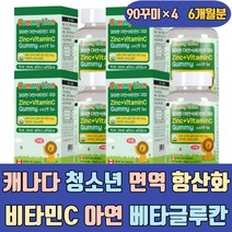 캐나다 청소년 면역 항산화 비타민C 아연 베타글루칸 구미 영양제 비타민시 건기식 어린이 음식 스틱 고함량 고용량 하루권장량 프리미엄 여성 남자 임산부 가루 분말 제품 파우더