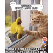 위즈트렌드 반려동물 노즈워크 장난감 세트, 연두(회전판+오뚜기)