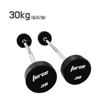 헬스가이드 포스 PU 고정식 일체형바벨 일자 ez바, 일자바-30kg