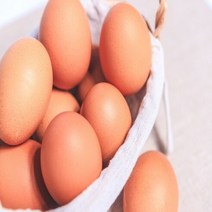 크로바양계식품 [크로바양계식품]친환경 무항생제 유정란 초란, 30구, 1개